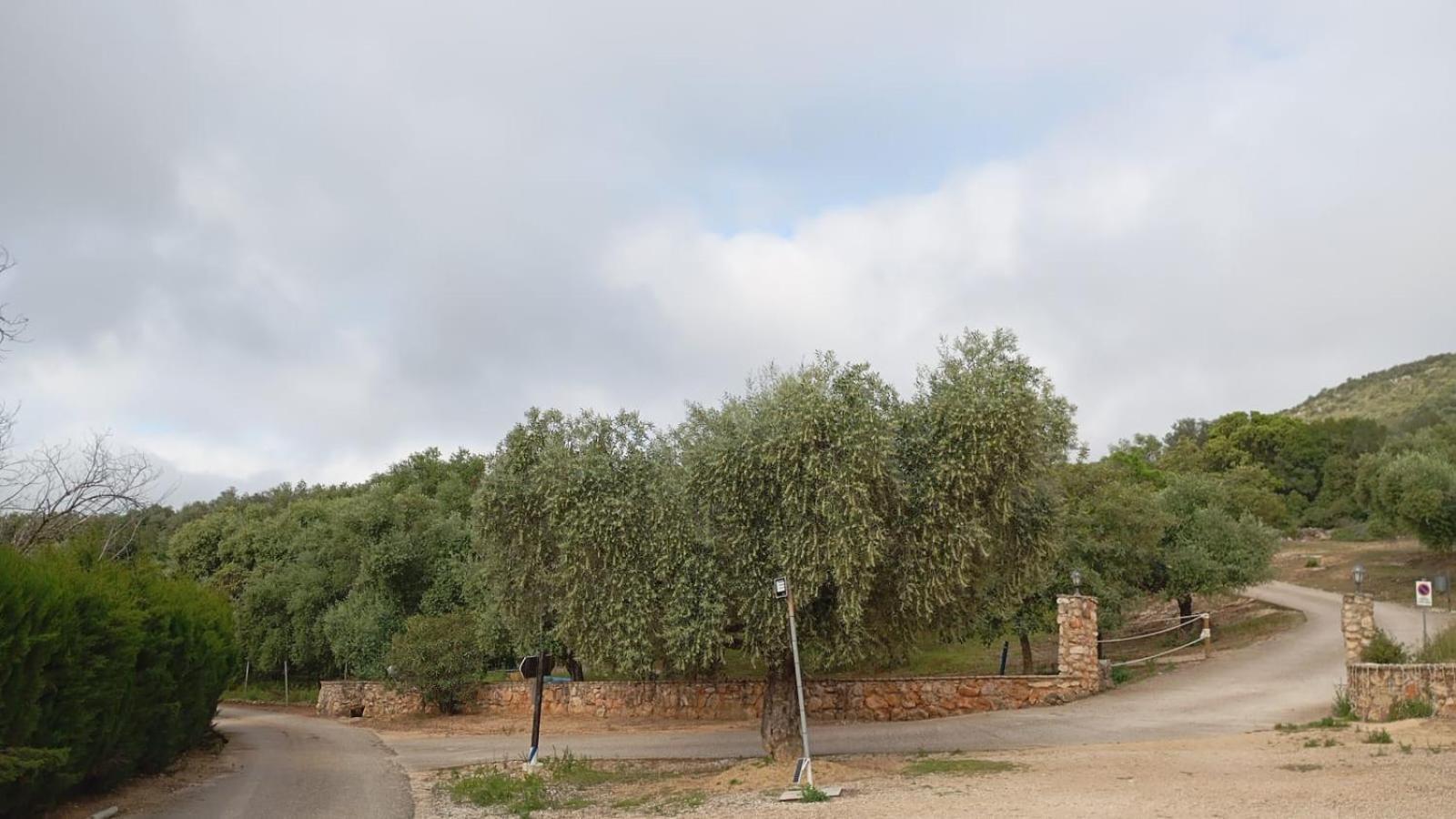 Casas Rurales Cortijo La Canada Estepa Exterior foto